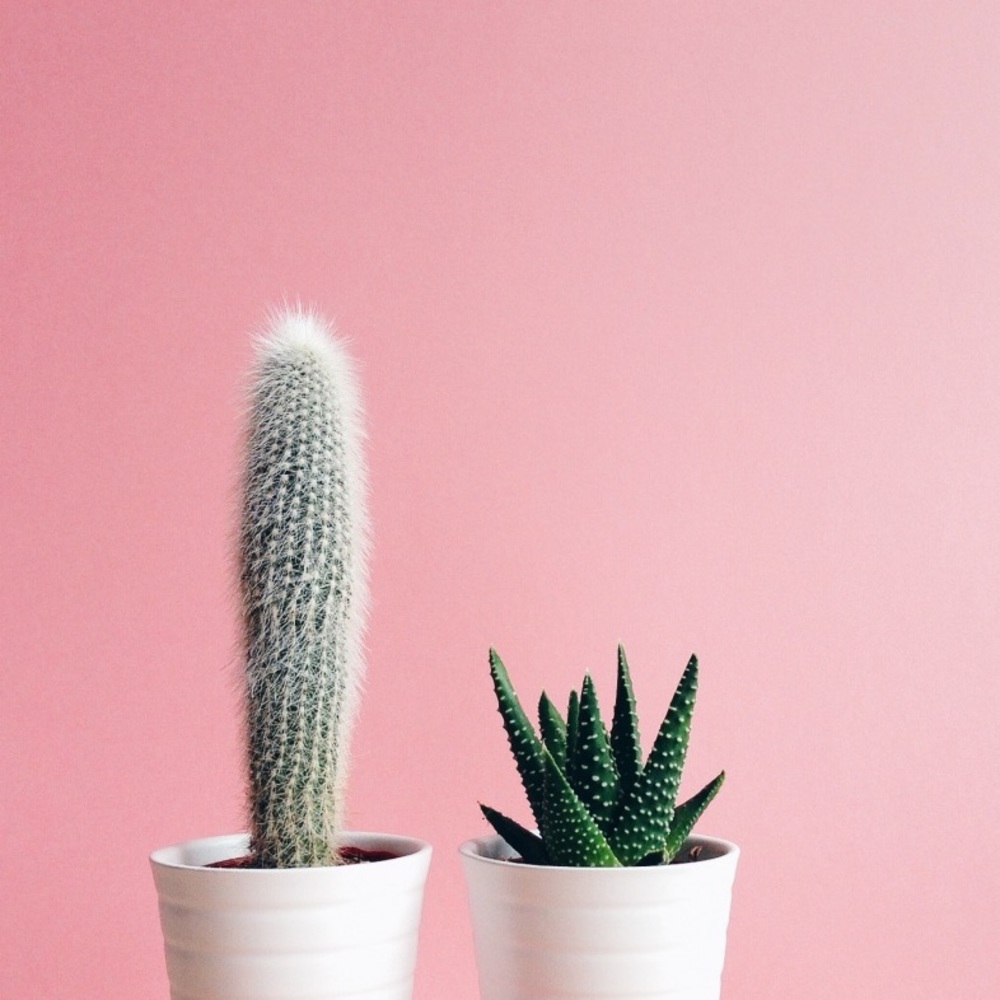 Meet your Posher, Adriana